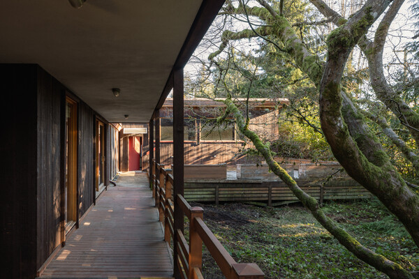 Old-growth cedar surrounds the home with the neighborhood pushing up against Vancouver's famous North Shore Mountians.