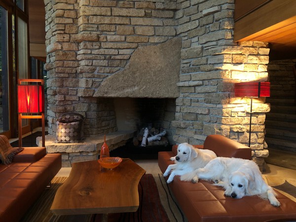 The owners' dogs, Bear II and Yoshi, in the living room, whose monumental fireplace anchors the house. "That craggy hunk of stone above the fireplace is something you could find at Taliesin,